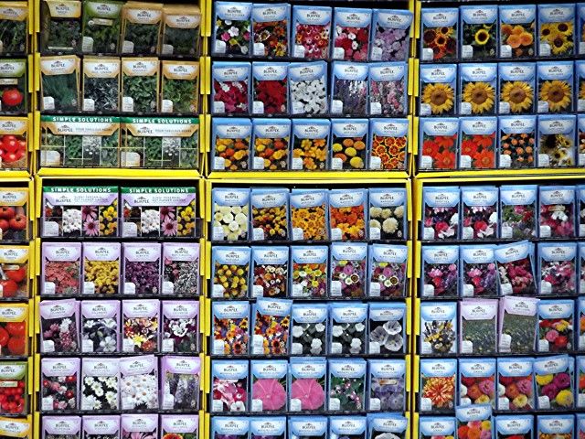 seeds photo seeds_zps8b1265d4.jpg