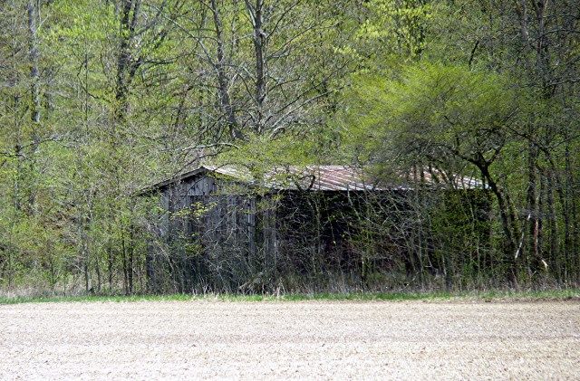 shed photo shed_zpsbecd241d.jpg