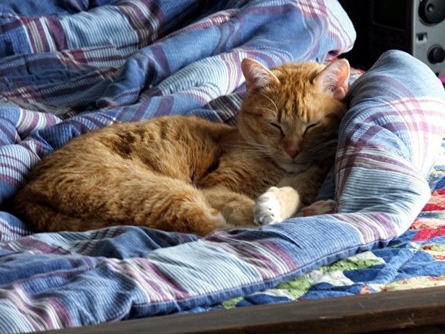 SI321 photo si321_zps4e258af2.jpg