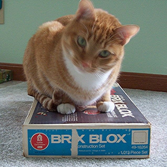 si51 photo si51_zpsab938fa5.jpg