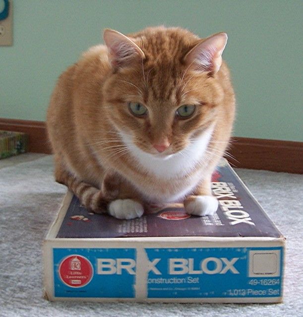 si52 photo si52_zpsbfd46424.jpg