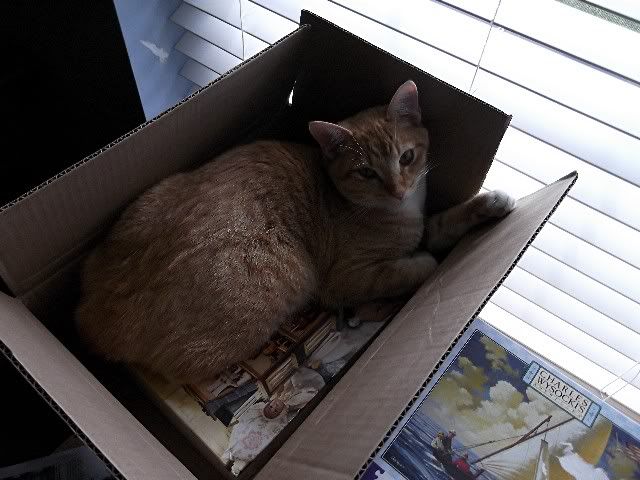 simon 2