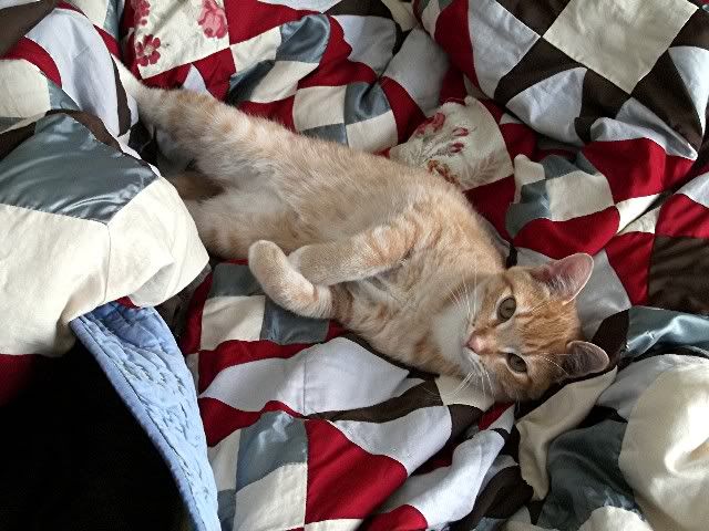 simon 3