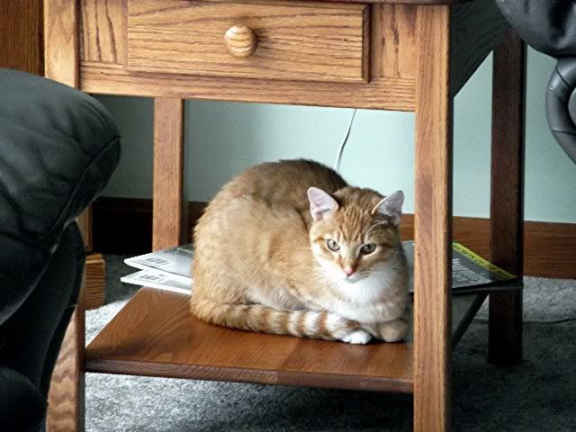 simon 5
