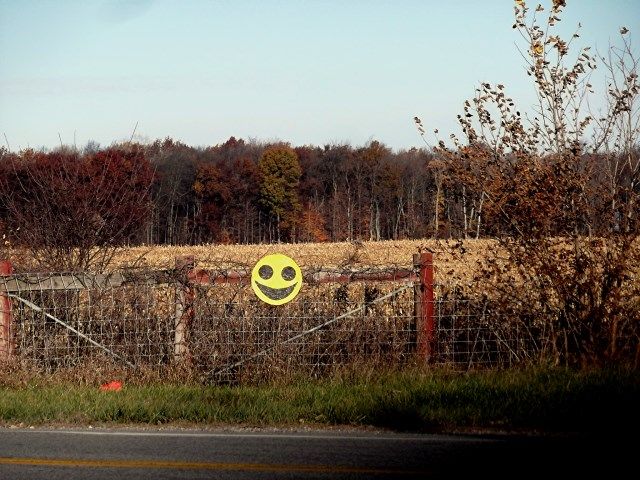 Smile xx photo smile_zpsf35004b7.jpg