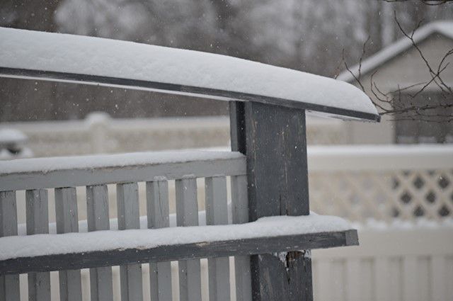 snfn photo snfn_zpsc7de61aa.jpg