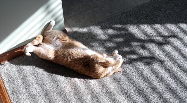 sunny simon photo sunnysimon_zpsb1027c3e.jpg