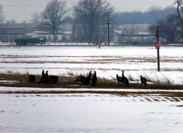 photo turk_zps954d8ccd.jpg