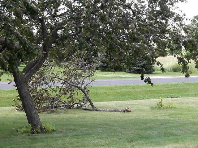 wind 4 photo wind1_zps321bcdb6.jpg