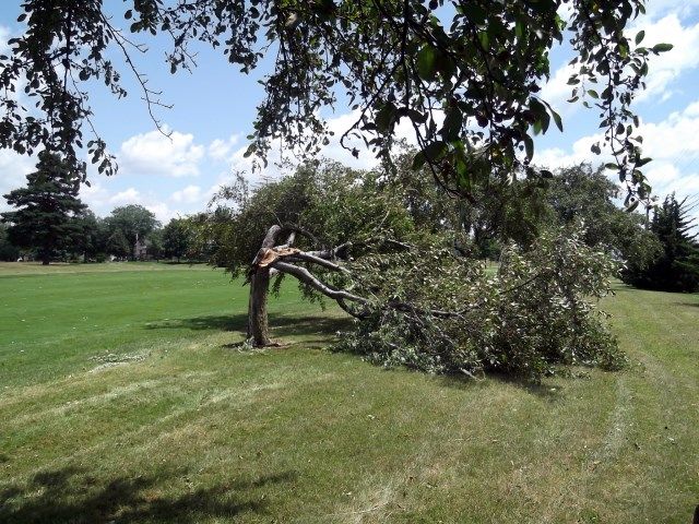 wind 5 photo wind2_zps15979c2a.jpg