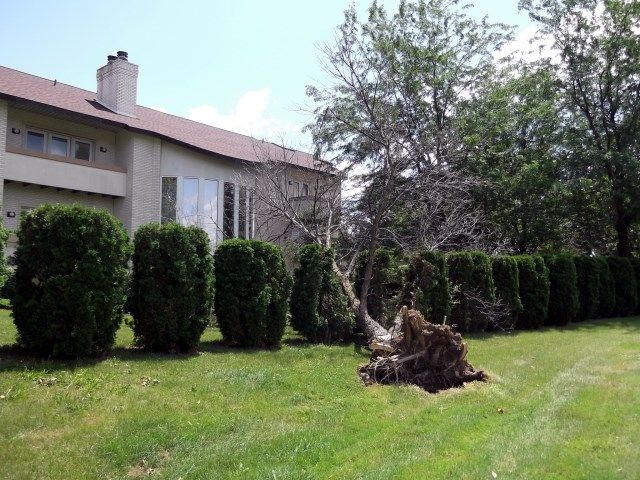 wind 1 photo wind3_zps2245cfb7.jpg