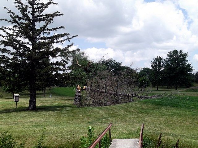 wind 2 photo wind4_zps1858ef87.jpg