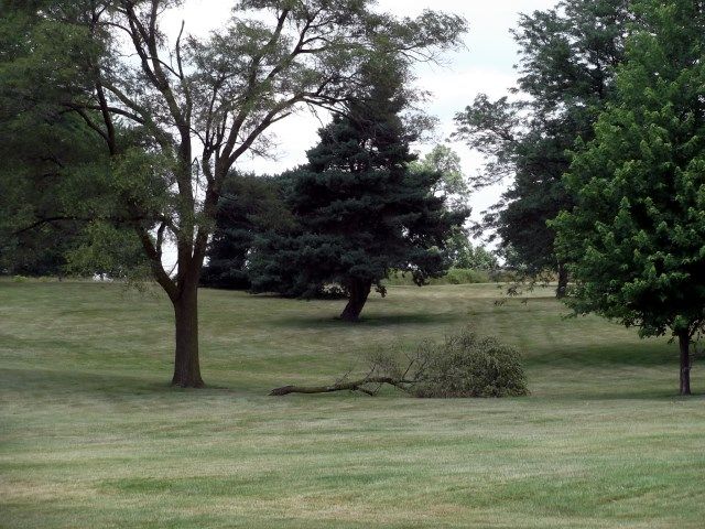 wind 3 photo wind5_zps43467482.jpg