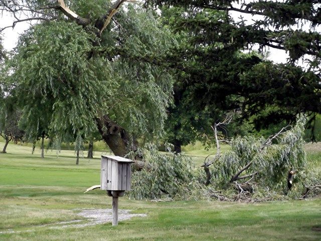 wind 6 photo wind6_zps05f5a43f.jpg