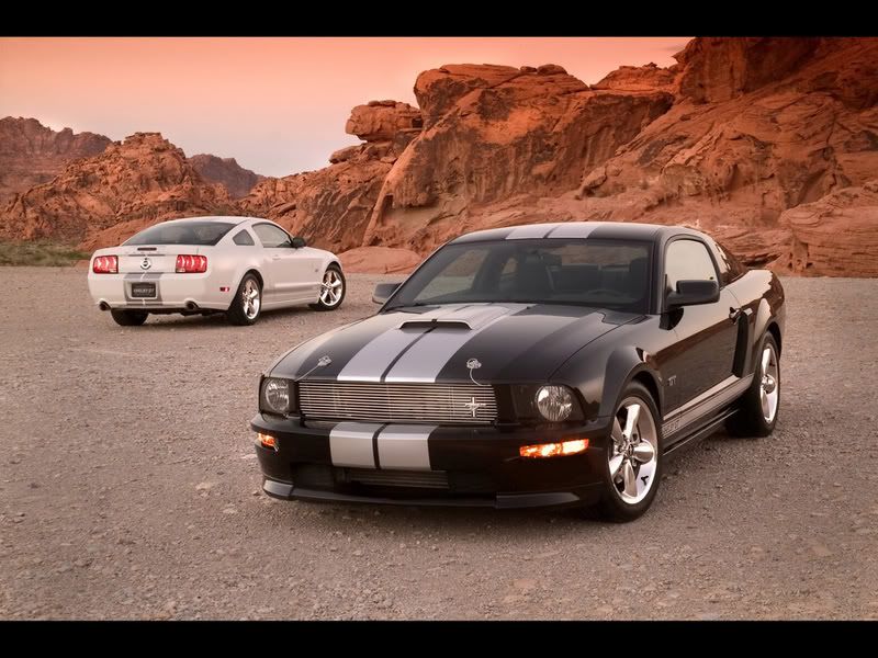  The Shelby GT builds on the expertise of Ford Racing 