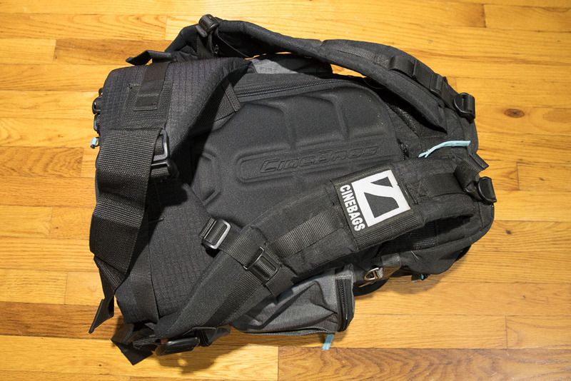 IMAGE: http://i123.photobucket.com/albums/o296/stratgirl78/_A2A0078_zpstu5zbdgl.jpg