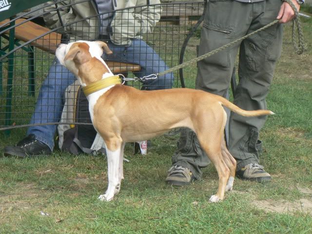 Afbeelding122.jpg