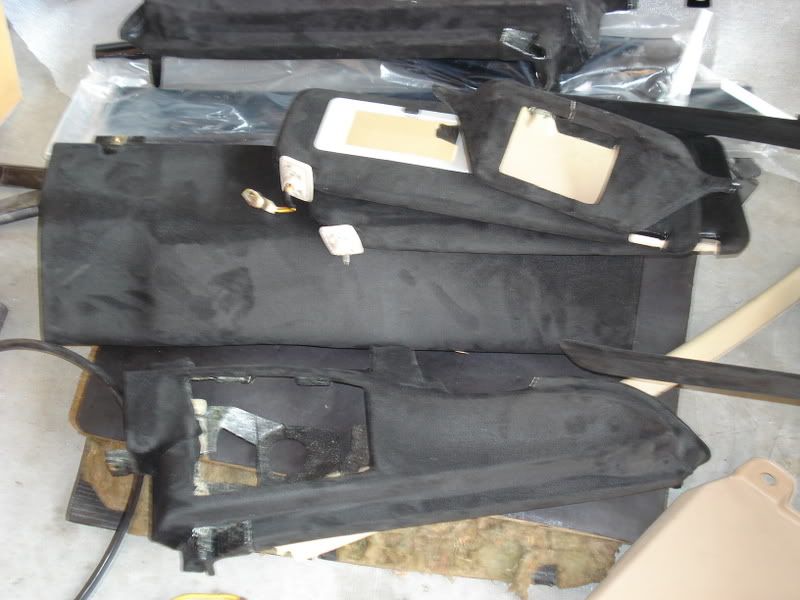 DSC01666.jpg?t=1194099966