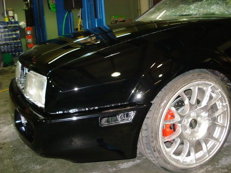 DSC01812.jpg?t=1192903507