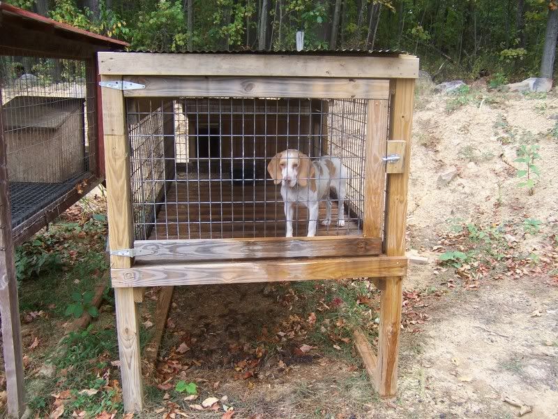 2 above ground kennels for sale **pics added** - The American Beagler Forum