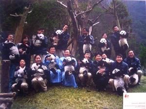 A lot of Pandas