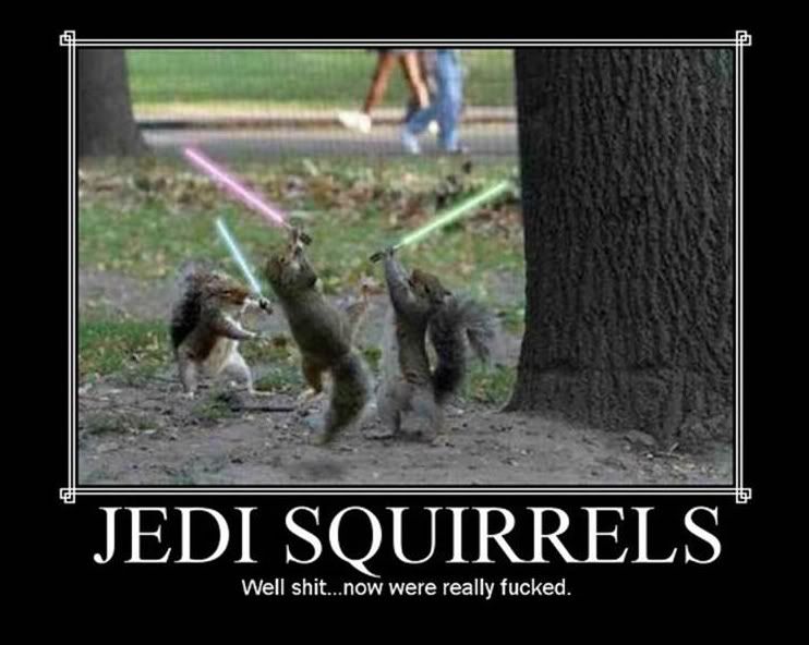 squirrels.jpg