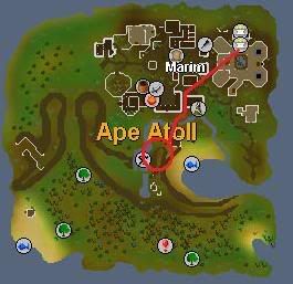 user posted image