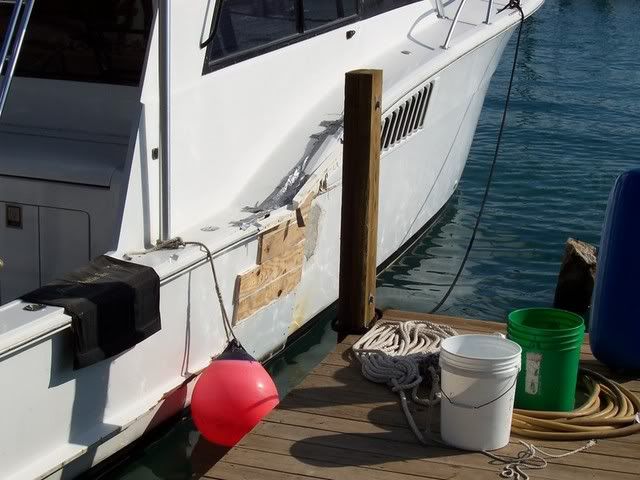 100_0318copy.jpg