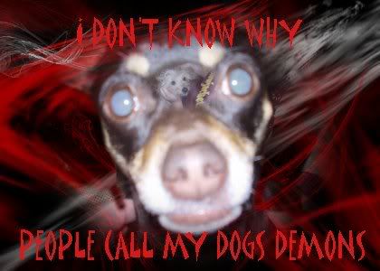 i don't know why people call my dogs demons