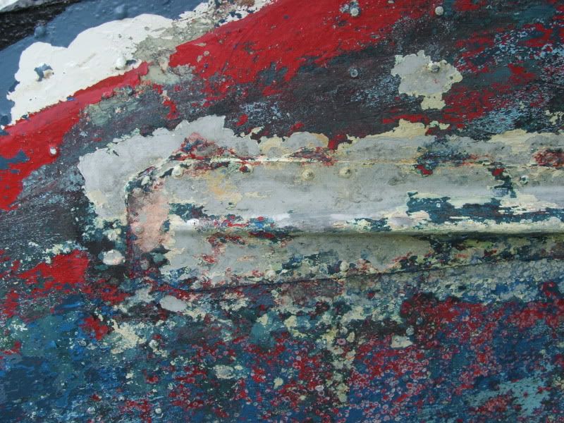 DSCF1250.jpg