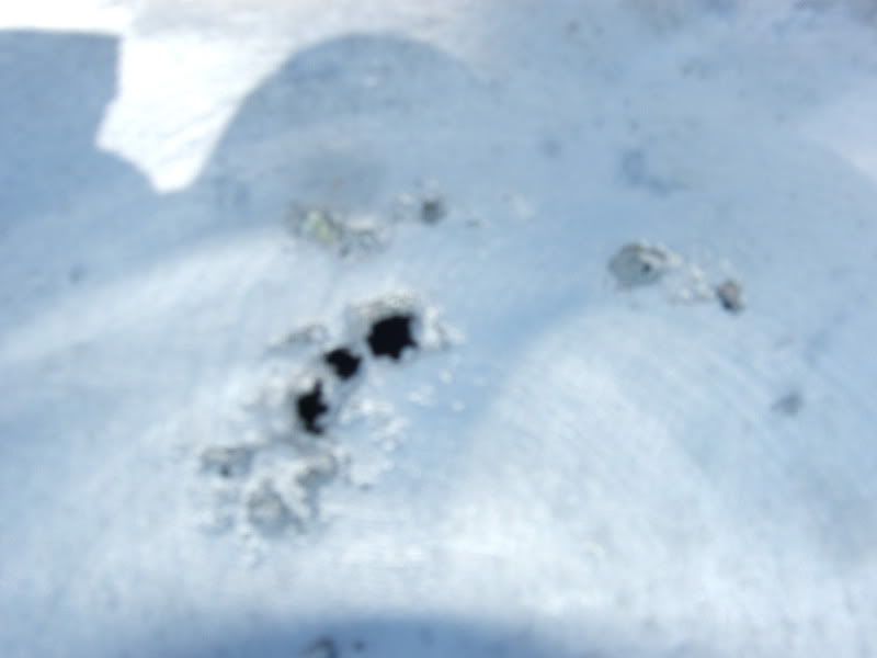 DSCF1254.jpg