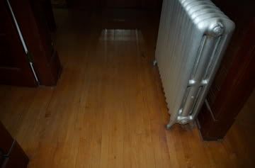 Boiler Radiator - Homesteading Questions