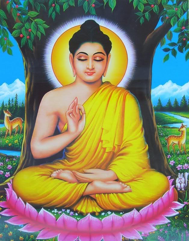 buddha Pictures, Images and Photos