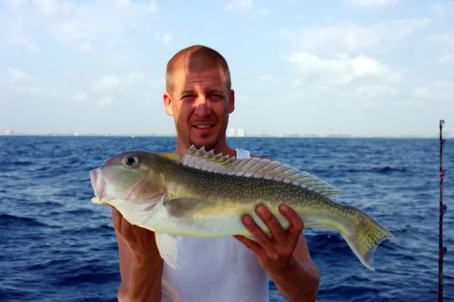 Blueline tilefish recipes Blueline tilefish recipes