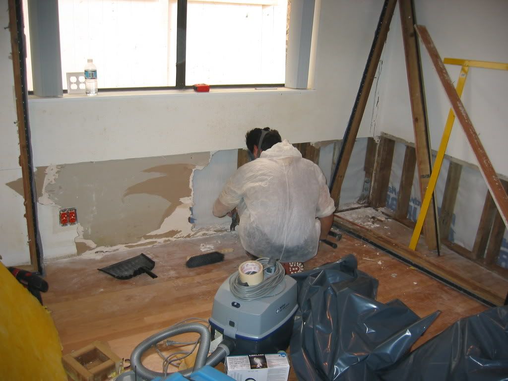 mold remediation