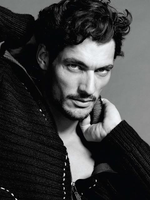 david gandy model. David Gandy/Model,