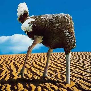 ostrich-headinsand.jpg