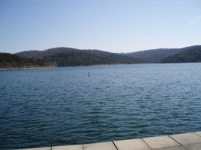 P3030039.jpg