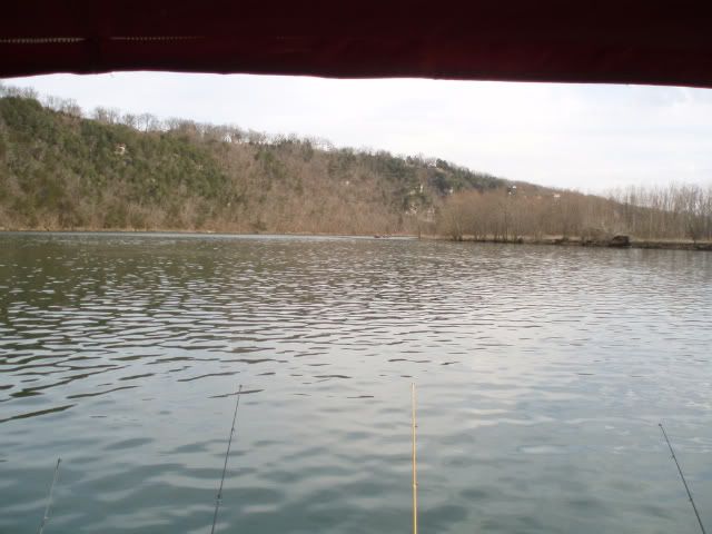 P3060071.jpg