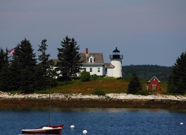 IMAGE: http://i123.photobucket.com/albums/o308/blinkeredfilly/IMG_6332_zps89a14b5e.jpg