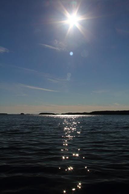 IMAGE: http://i123.photobucket.com/albums/o308/blinkeredfilly/IMG_6756_zps4daf95f3.jpg