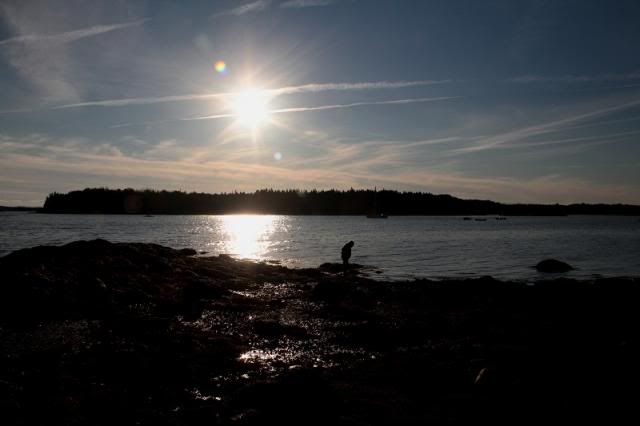 IMAGE: http://i123.photobucket.com/albums/o308/blinkeredfilly/IMG_6791_zpscc165535.jpg