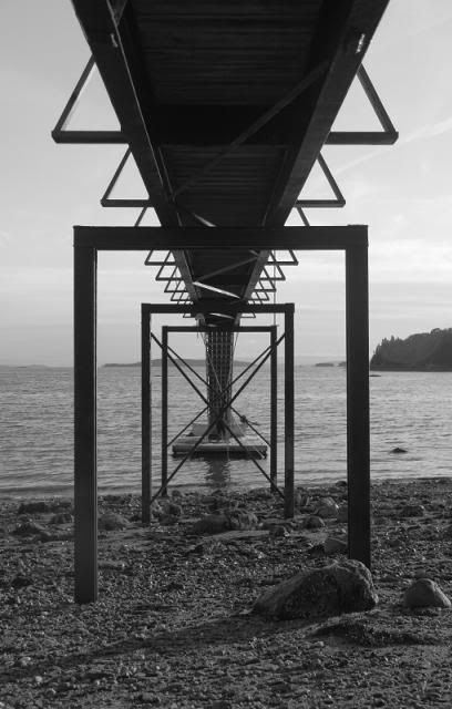 IMAGE: http://i123.photobucket.com/albums/o308/blinkeredfilly/IMG_6804_zpsb0608826.jpg