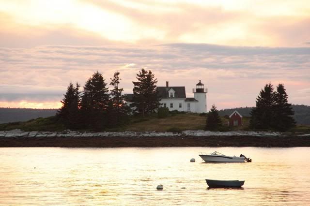 IMAGE: http://i123.photobucket.com/albums/o308/blinkeredfilly/IMG_6819_zps941cac6b.jpg