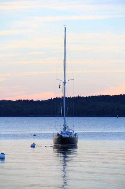 IMAGE: http://i123.photobucket.com/albums/o308/blinkeredfilly/IMG_6821_zps93bc9d9c.jpg