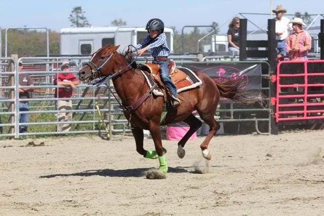 IMAGE: http://i123.photobucket.com/albums/o308/blinkeredfilly/IMG_7240_zps04b96eee.jpg