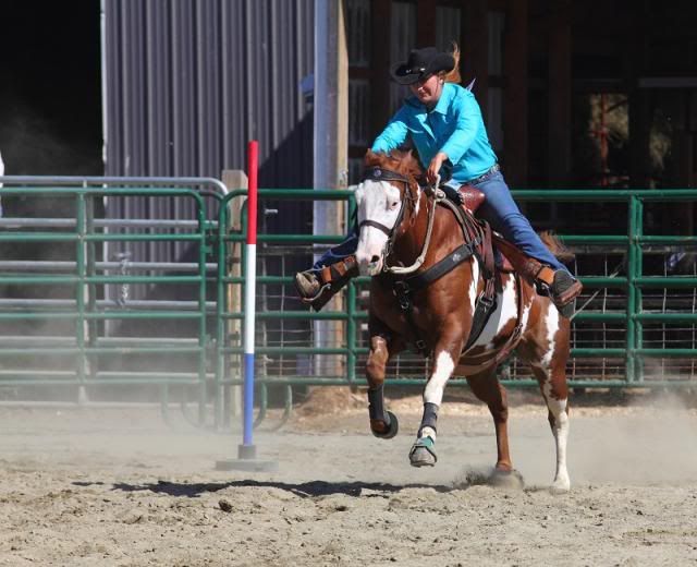 IMAGE: http://i123.photobucket.com/albums/o308/blinkeredfilly/IMG_7321_zps083cb9ae.jpg