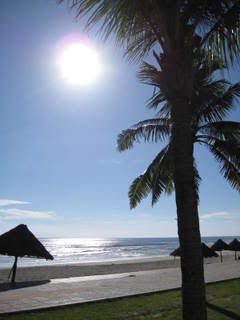 IMG_0865.jpg picture by lacvietdontoan