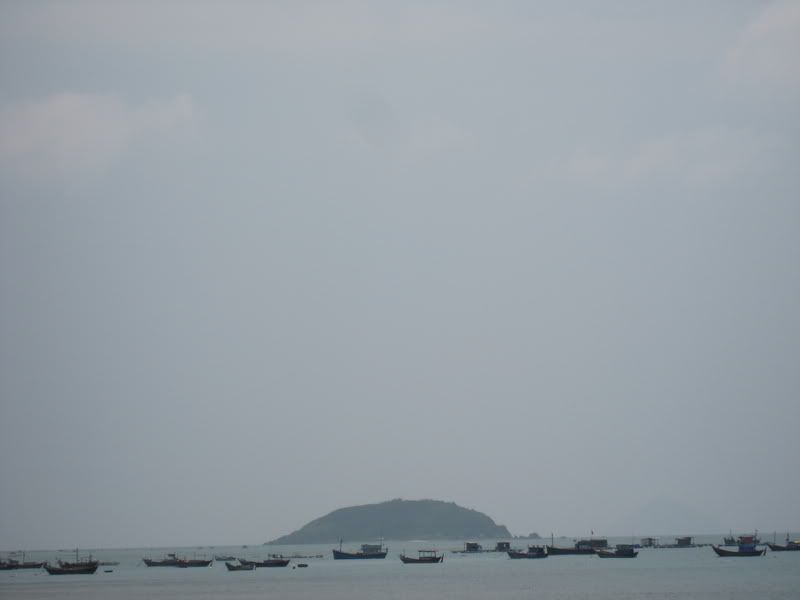 IMG_2239.jpg picture by lacvietdontoan