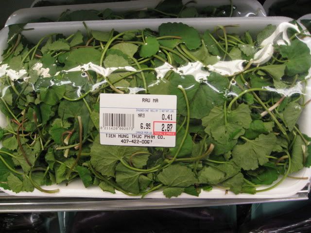 IMG_3002.jpg picture by lacvietdontoan